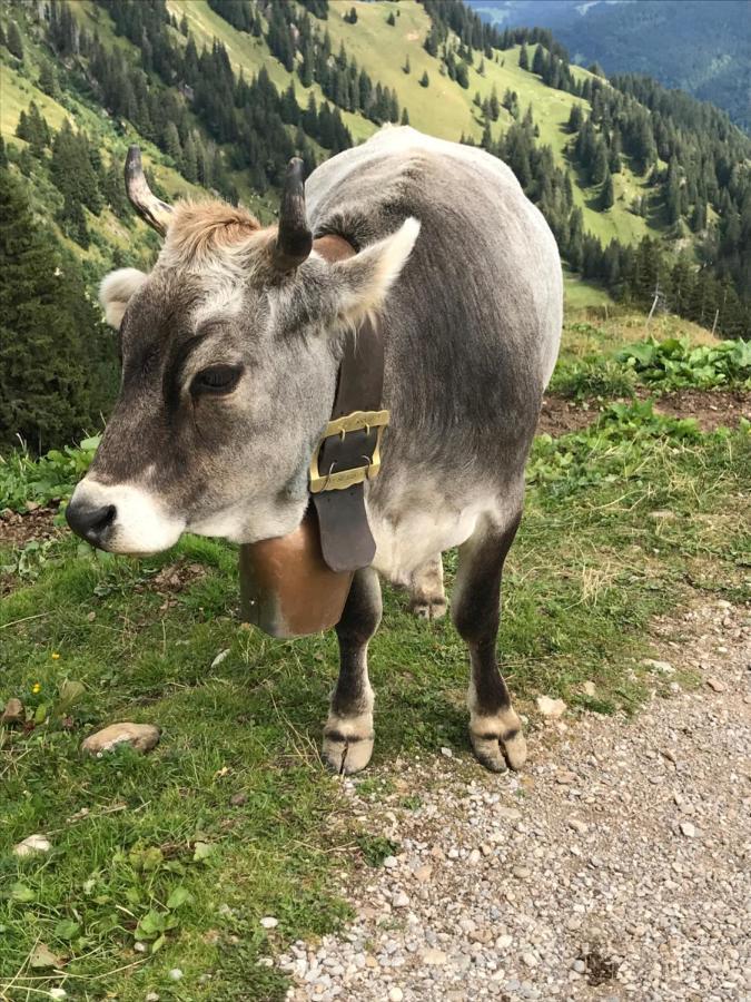 Ferienwohnung Krähenberg am Rande der Wildnis Sibratsgfäll Exterior foto