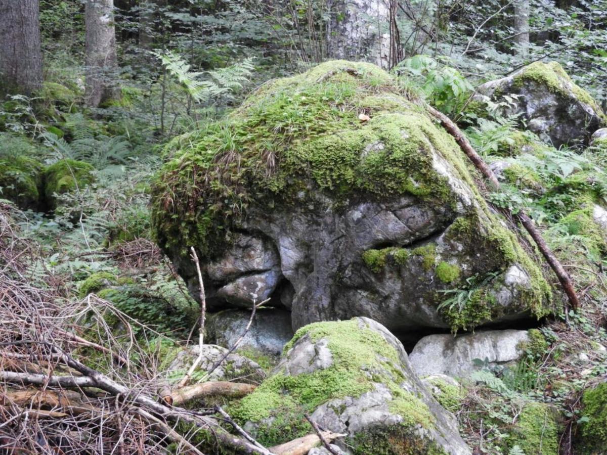 Ferienwohnung Krähenberg am Rande der Wildnis Sibratsgfäll Exterior foto