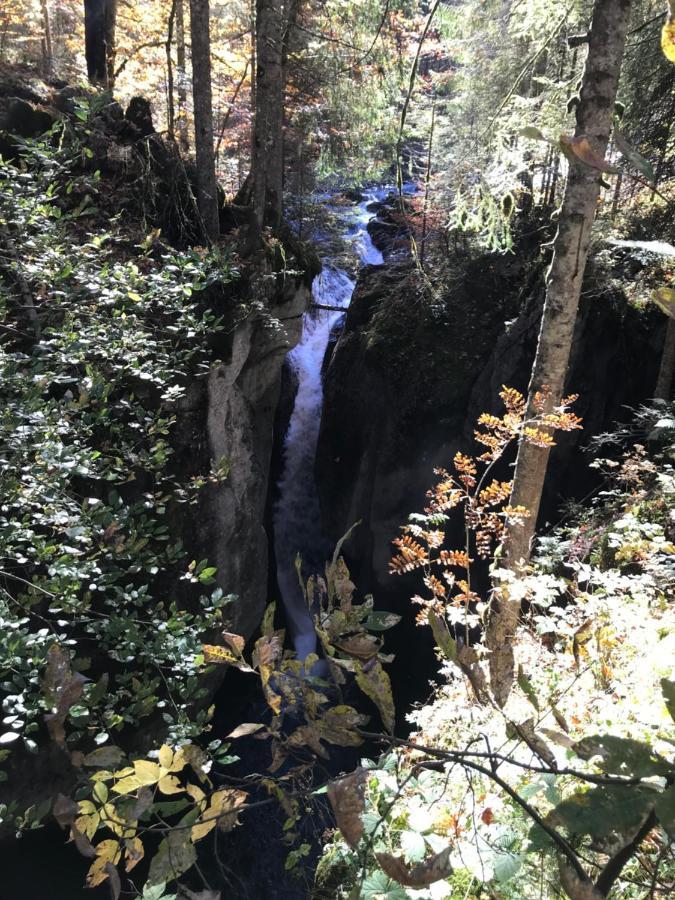 Ferienwohnung Krähenberg am Rande der Wildnis Sibratsgfäll Exterior foto