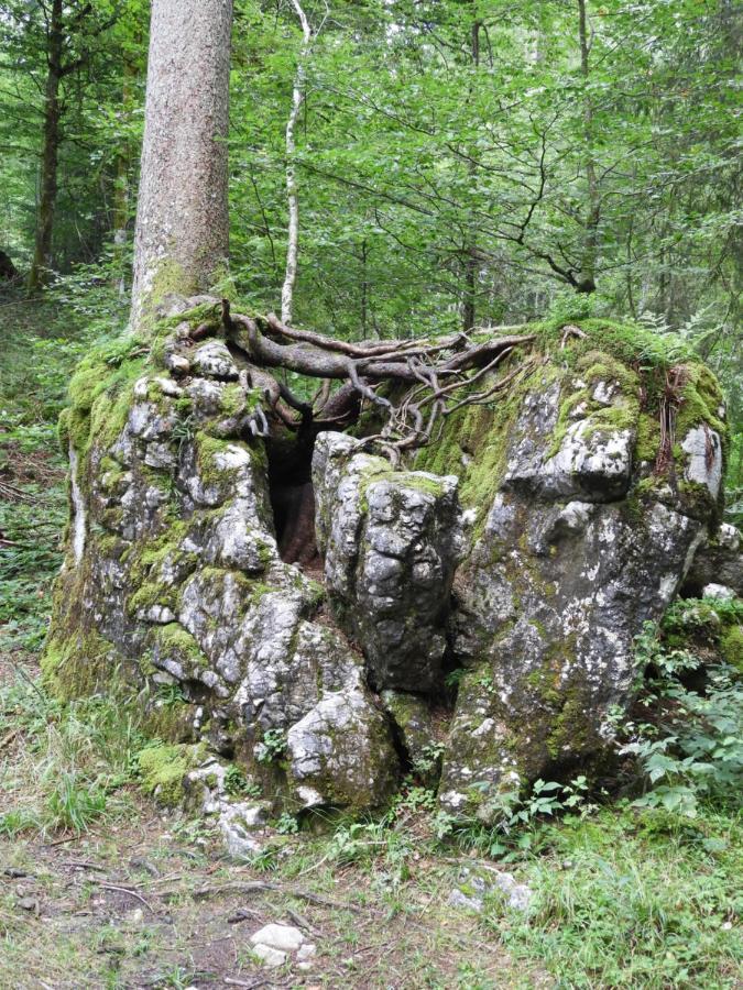 Ferienwohnung Krähenberg am Rande der Wildnis Sibratsgfäll Exterior foto