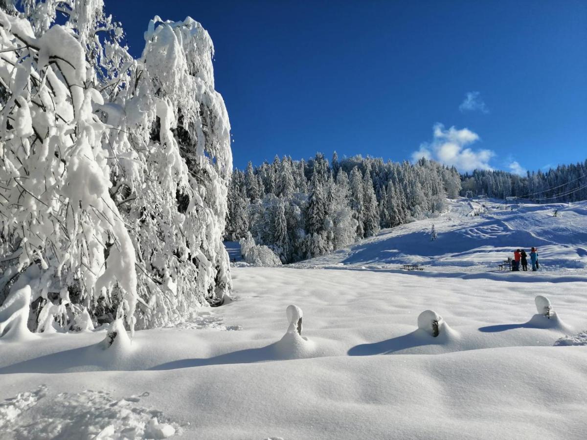 Ferienwohnung Krähenberg am Rande der Wildnis Sibratsgfäll Exterior foto