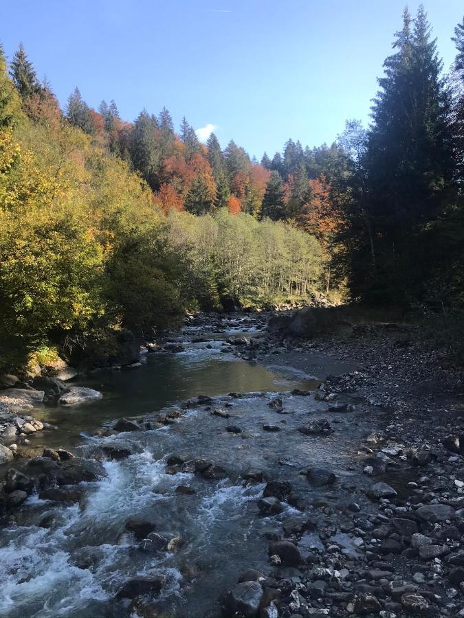 Ferienwohnung Krähenberg am Rande der Wildnis Sibratsgfäll Exterior foto